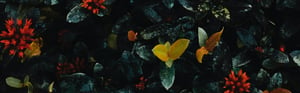 flowers - Header background (1)